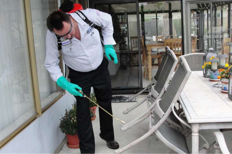 pest management professional in North Weymouth