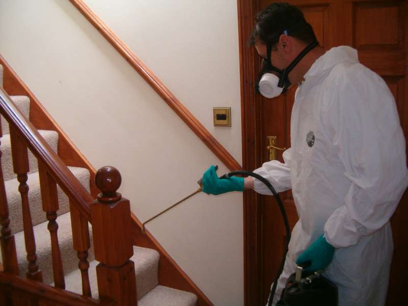 tree pest control in Columbus