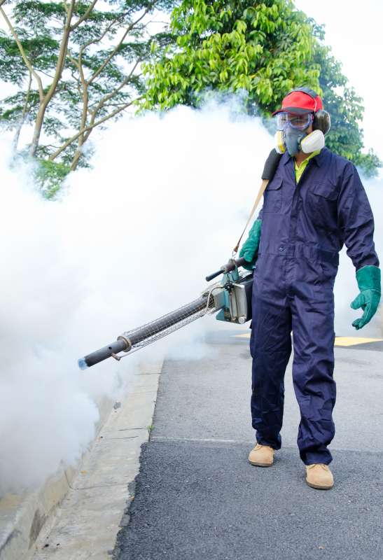 professional pest control services in Wilton