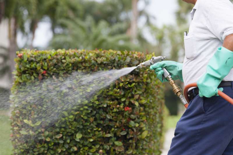 professional pest control products in Butler