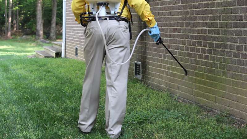 professional pest control company in Fyffe