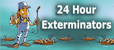 24 Hour Exterminators